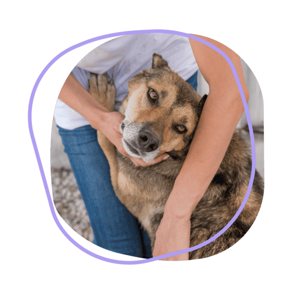 chien au pied d'une femme dans ses bras